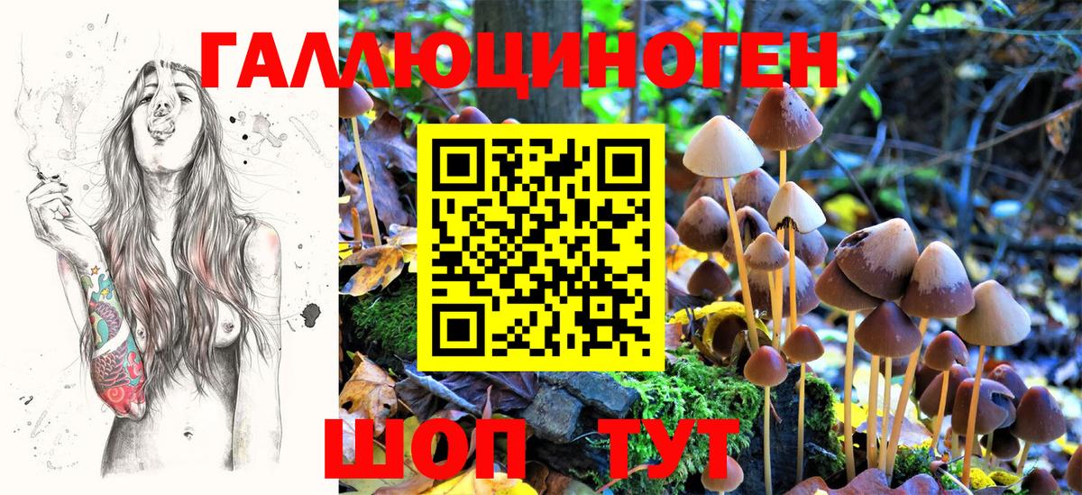Галлюциногенные грибы GOLDEN TEACHER Белорецк