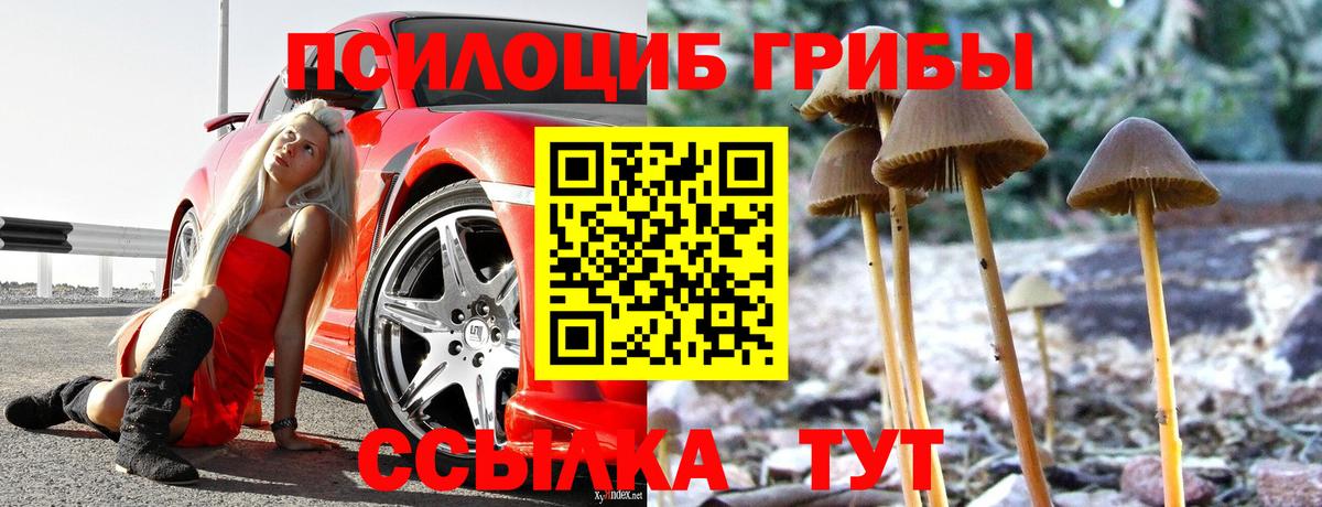 Галлюциногенные грибы MAGIC MUSHROOMS  Вход с VPN  Белорецк 