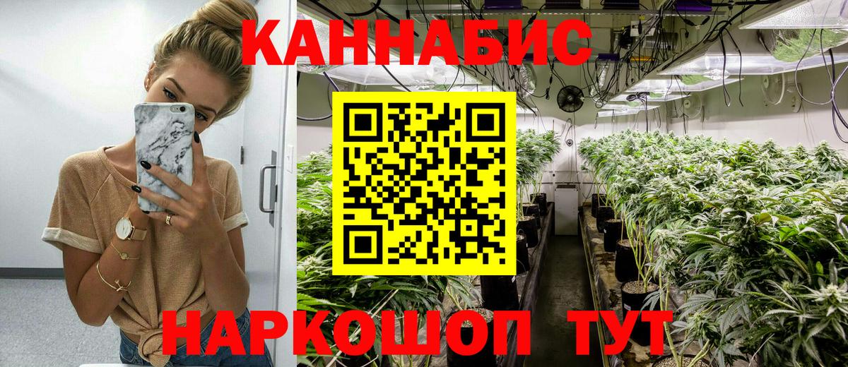 Бошки Шишки планчик  Вход с VPN  Марихуана планчик  Белорецк 